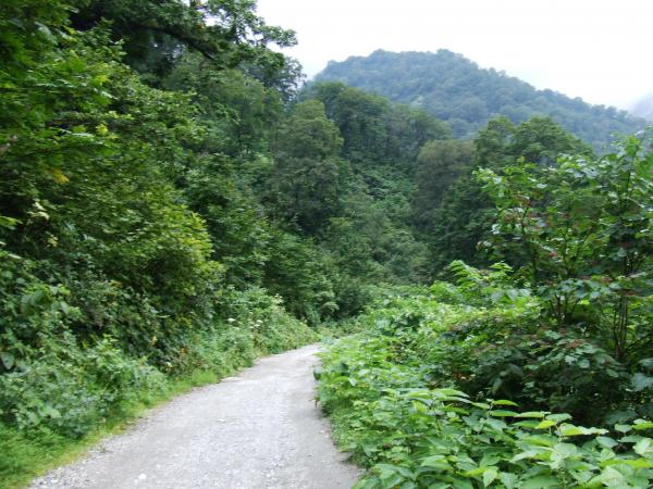 登り始めは砂防工事専用道路。